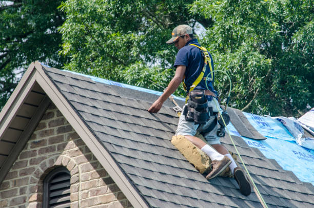Best Roof Replacement Cost  in Billings, MT